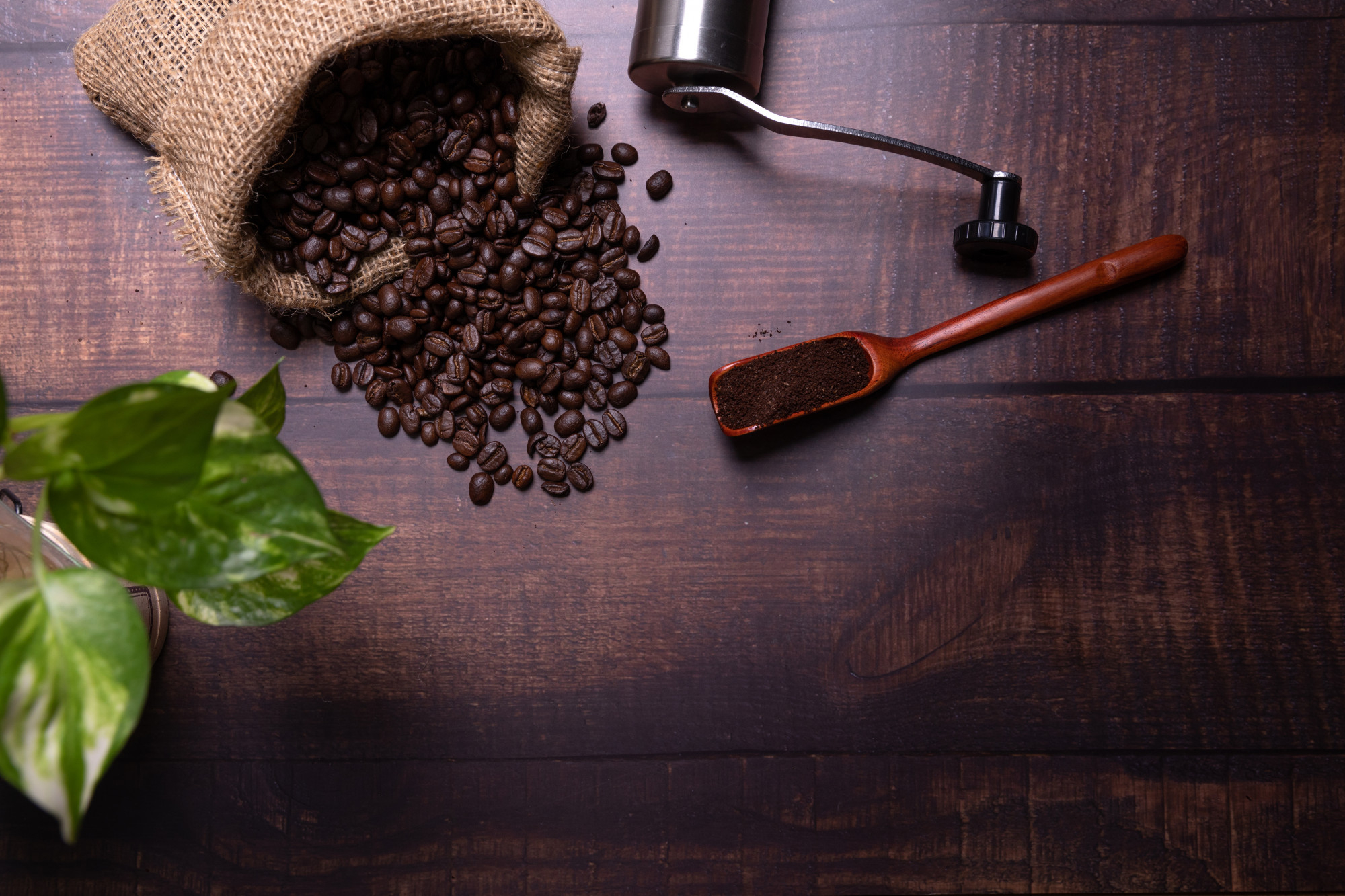 Philippines coffee